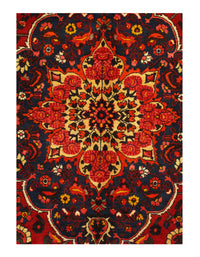 Persian Bakhtiari Hand Knotted Rug - 6'10" x 9'9"