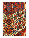 Persian Bakhtiari Rug - 6'10" x 10"3"