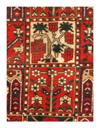 Persian Bakhtiari Rug - 6'7" x 9'5"