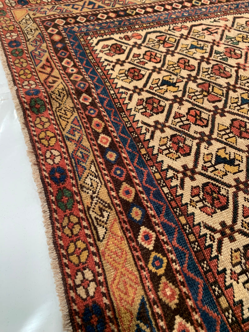 Antique Caucasian Dagestan Ivory Prayer Design Rug - 3'11 x 4'3