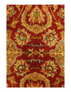 Red color Fine Hand knotted Agra rug 5'11'' X 6'11''