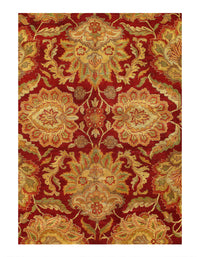 Fine Hand Knotted Agra rug 10' X 14''